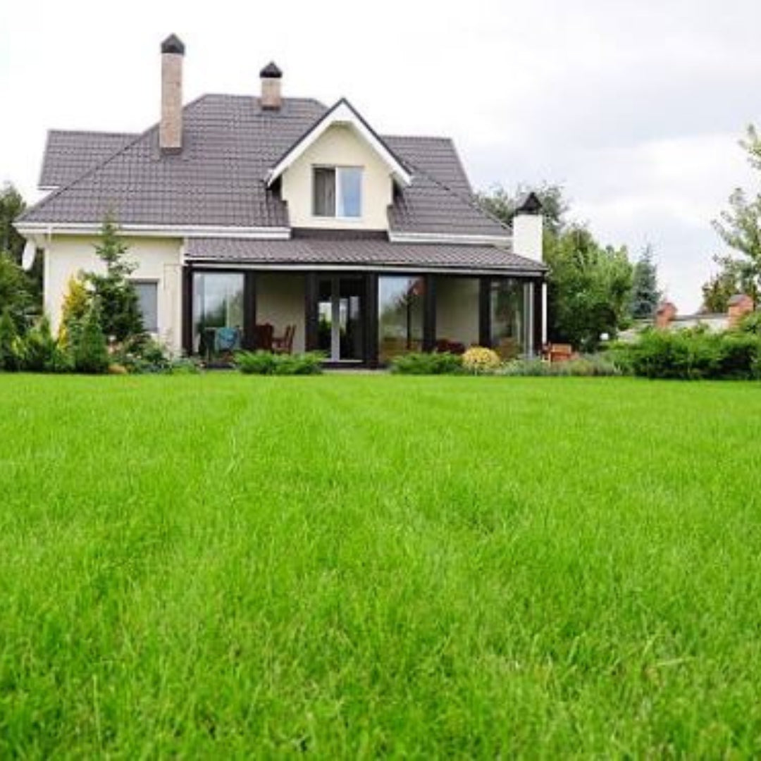 Diverse til hus og have