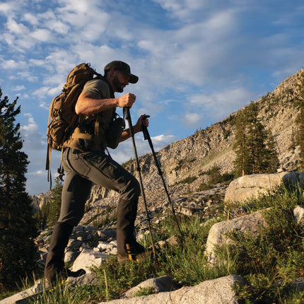 Teleskopiska gåstavar 2 st med ergonomiskt handtag