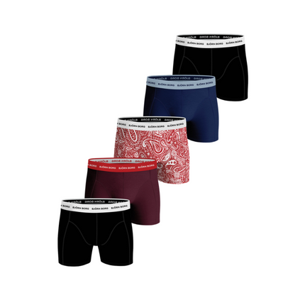 Björn Borg 5-pack boxershorts Large 