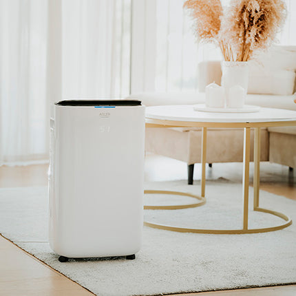 Effektiv Affugter 25L/Dag  og Luftrenser