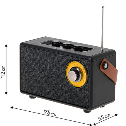 Sort FM Radio med Bluetooth