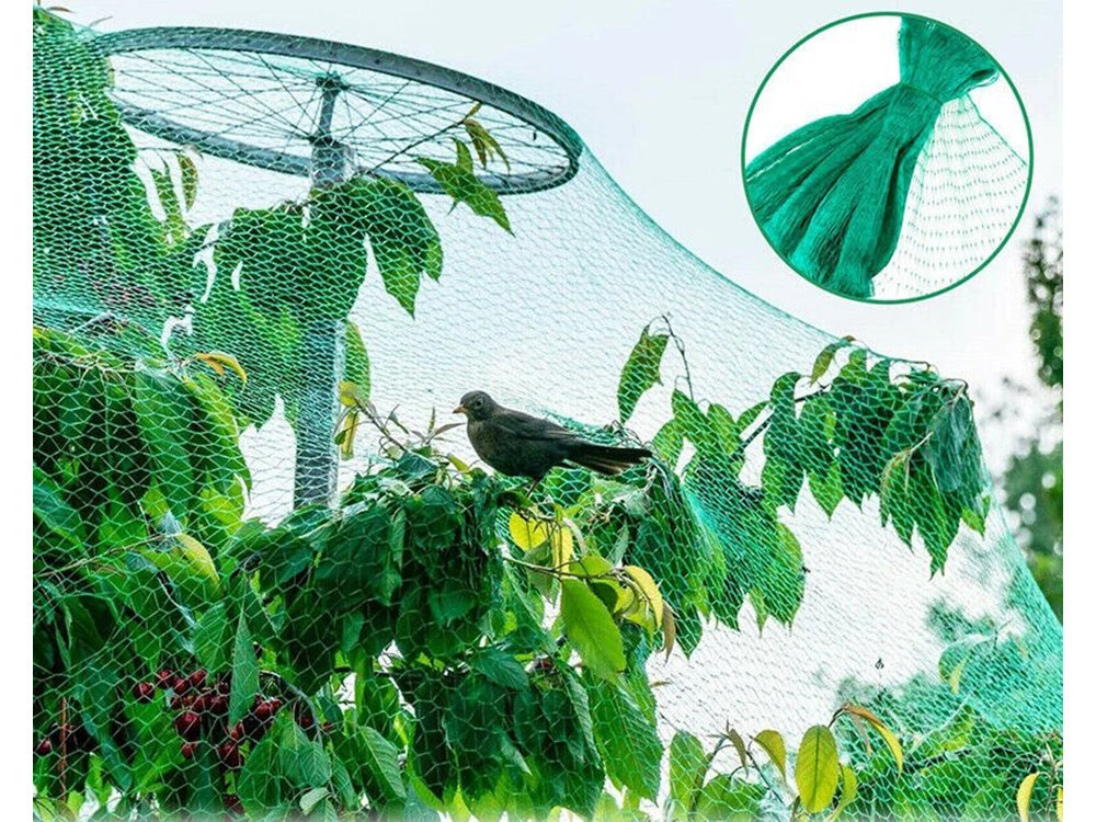 Beskyttelsesnet til Have – 4 x 6 m Fuglenet til Frugt og Afgrøder