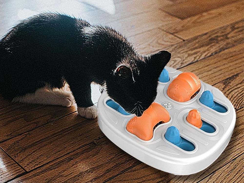 Aktiveringslegetøj til Hunde og Katte med Puslespil & Tyggefunktion