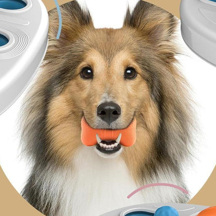 Aktiveringslegetøj til Hunde og Katte med Puslespil & Tyggefunktion