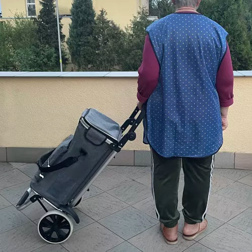 Stor shoppingvagn med avtagbar väska
