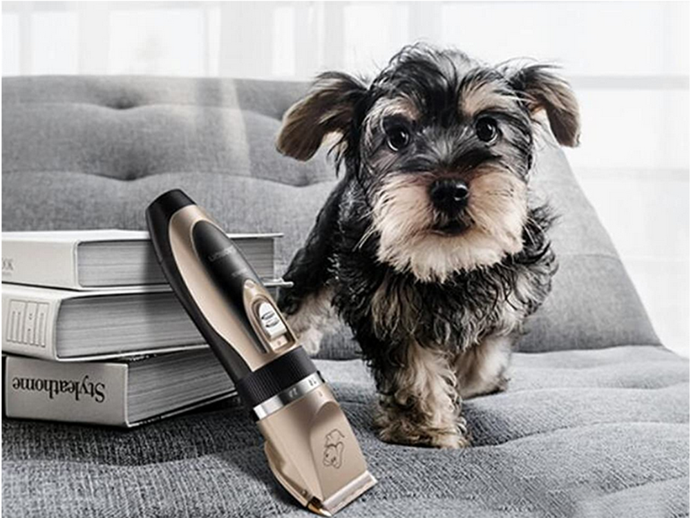 Electric Clipper Set för husdjur - Perfekt för hundar och katter 