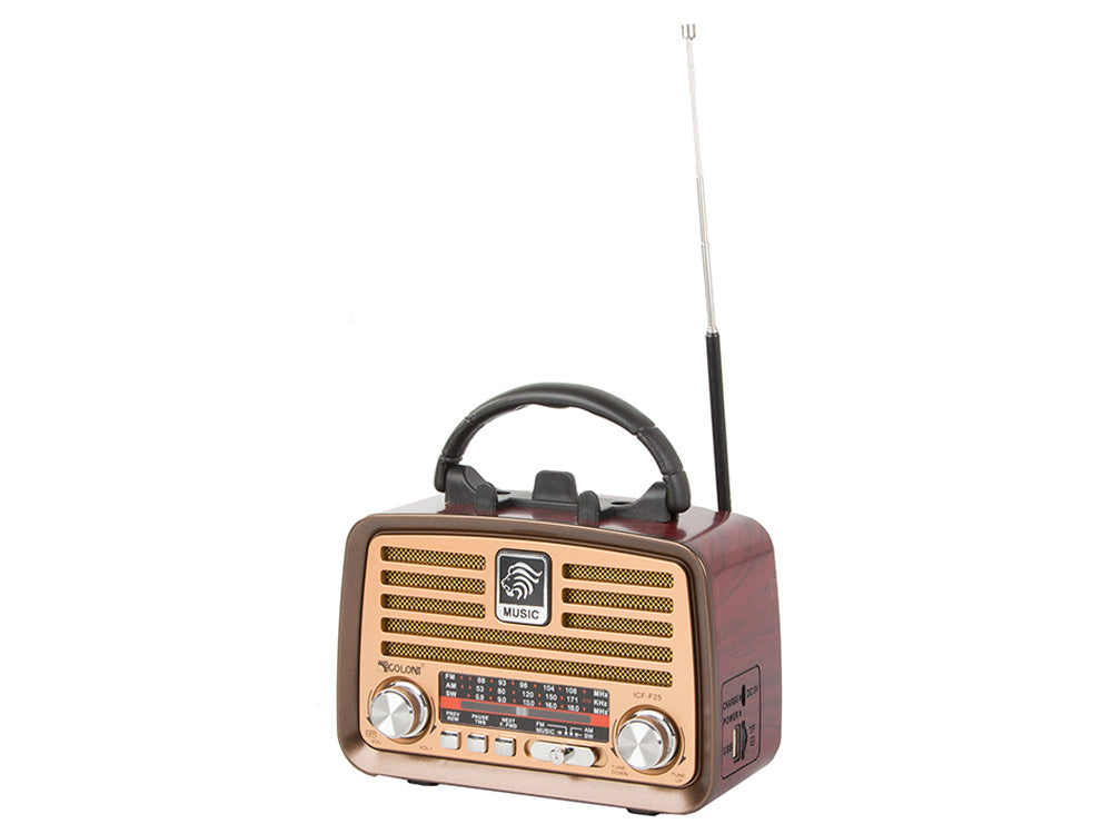 Bärbar retroradio med FM/AM, Bluetooth och USB-laddning