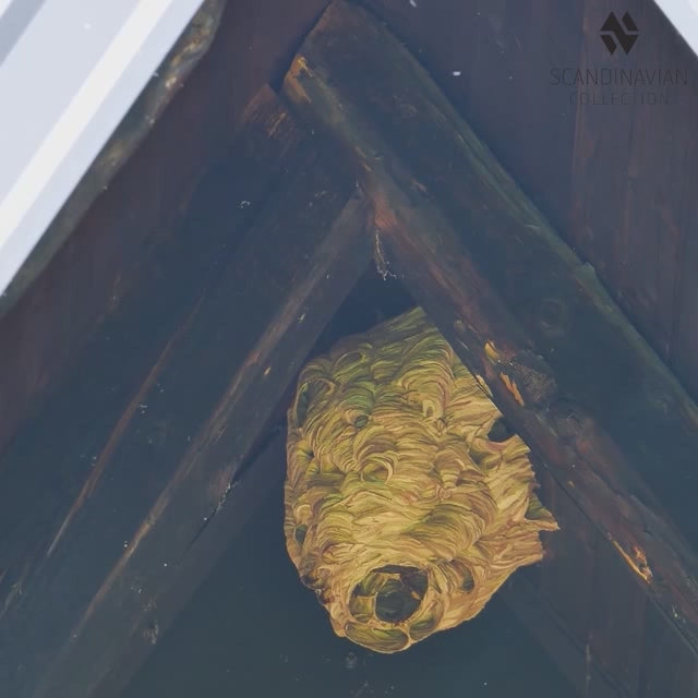 Läs in video: Effektiv getingfälla för utomhusbruk – utan kemikalier
