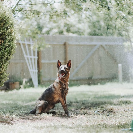 HAVESPRINKLER 20meter / 20 DYSER - We Do Better