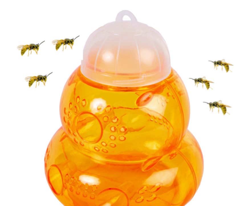 Hvepsefælde - We Do Better