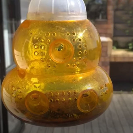 Hvepsefælde - We Do Better