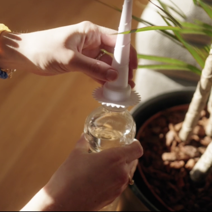 Vandingsspyd 6 stk - We Do Better