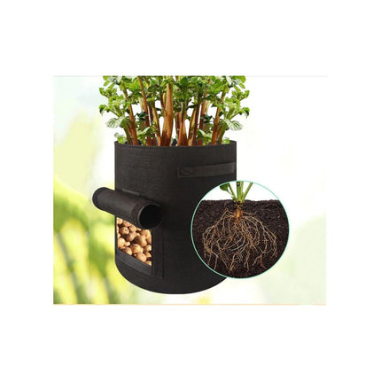 Plantesæt indeholder 3 stk. - We Do Better