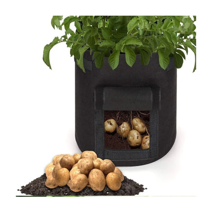 Plantesæt indeholder 3 stk. - We Do Better