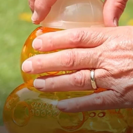 Hvepsefælde - We Do Better