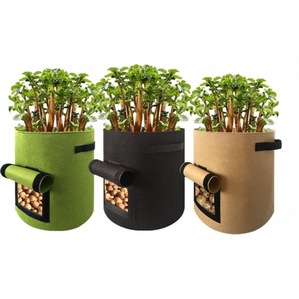 Plantesæt indeholder 3 stk. - We Do Better