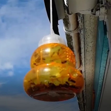 Hvepsefælde - We Do Better