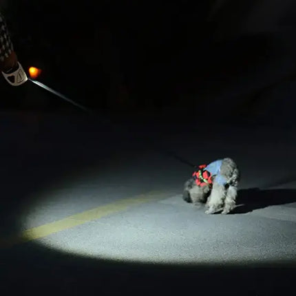 Hundesnor med LED lommelygte - We Do Better